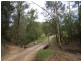 998 Nowendoc Road, Wingham NSW 2429