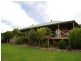 998 Nowendoc Road, Wingham NSW 2429
