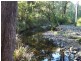 2103 Nowendoc Road, Wingham NSW 2429