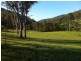 2103 Nowendoc Road, Wingham NSW 2429