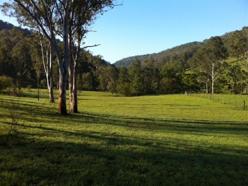 2103 Nowendoc Road, Wingham NSW 2429