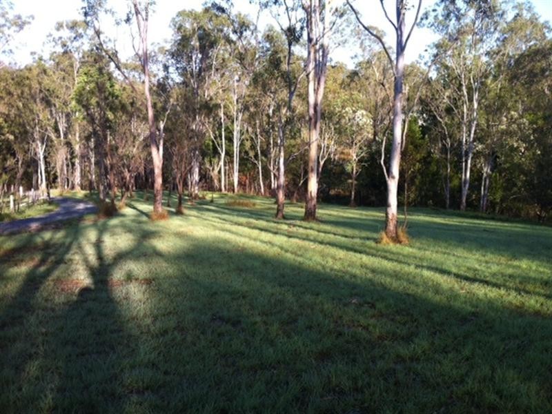 2103 Nowendoc Road, Wingham NSW 2429
