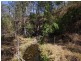 2103 Nowendoc Road, Wingham NSW 2429