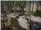 2103 Nowendoc Road, Wingham NSW 2429