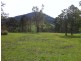 2103 Nowendoc Road, Wingham NSW 2429