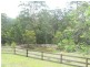 399 Possum Brush Road, Possum Brush NSW 2430