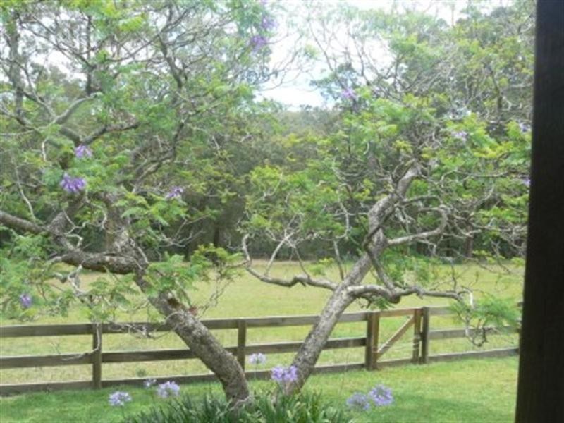 399 Possum Brush Road, Possum Brush NSW 2430