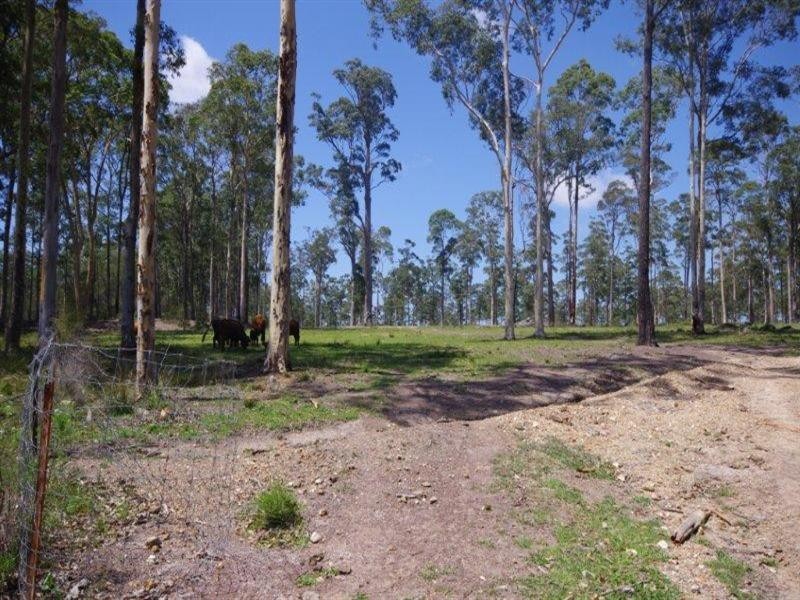 204 Aerodrome Road, Nabiac NSW 2312
