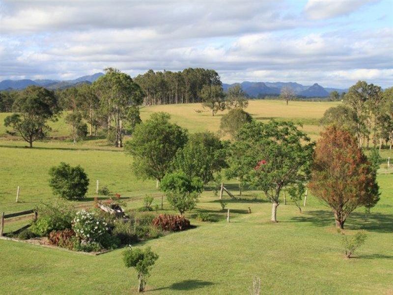 79 Mooral Creek Road, Wingham NSW 2429