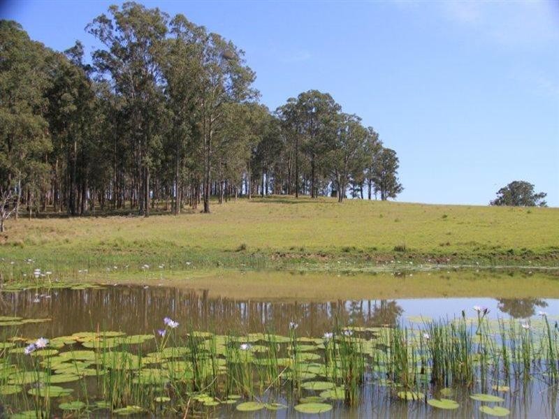 79 Mooral Creek Road, Wingham NSW 2429