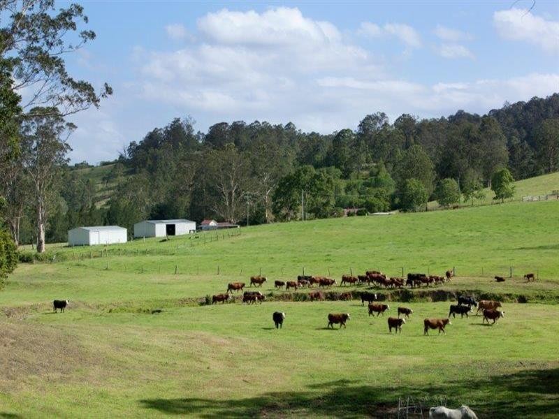 256 Warrawillah Road, Marlee NSW 2429