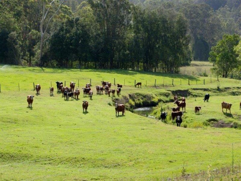 256 Warrawillah Road, Marlee NSW 2429