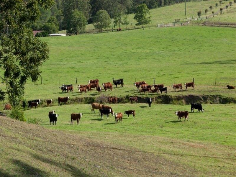 256 Warrawillah Road, Marlee NSW 2429