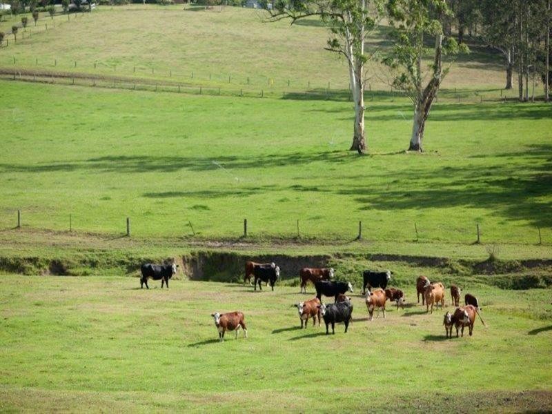 256 Warrawillah Road, Marlee NSW 2429