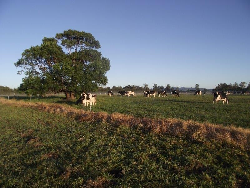 37 Barton Street, Croki NSW 2430