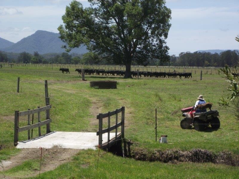 37 Barton Street, Croki NSW 2430