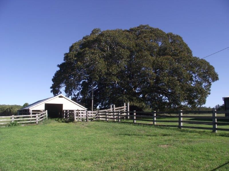 37 Barton Street, Croki NSW 2430