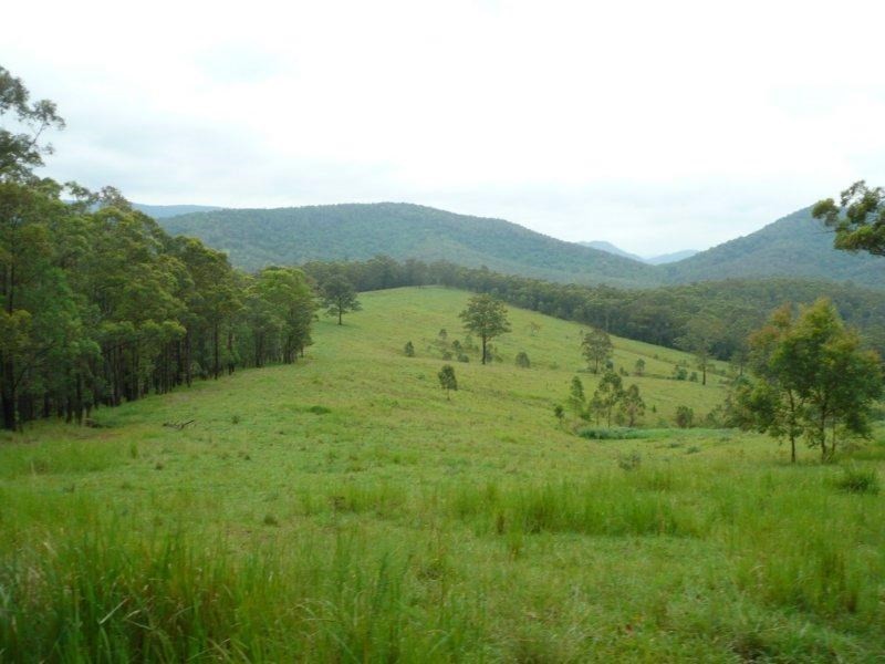 998 Nowendoc Road, Wingham NSW 2429