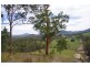 998 Nowendoc Road, Wingham NSW 2429
