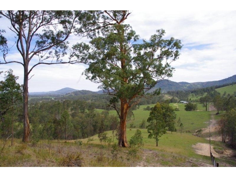 998 Nowendoc Road, Wingham NSW 2429