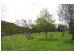 998 Nowendoc Road, Wingham NSW 2429
