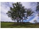 998 Nowendoc Road, Wingham NSW 2429