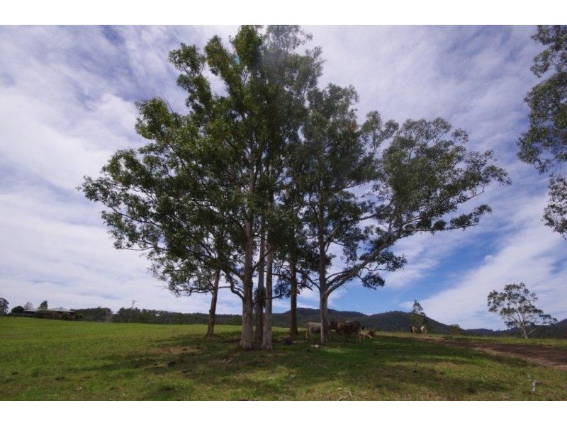 998 Nowendoc Road, Wingham NSW 2429