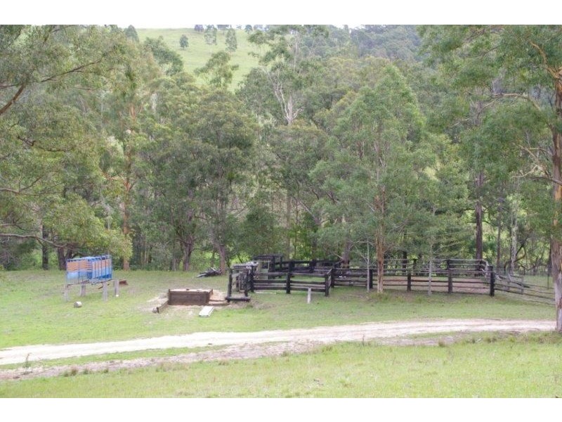 998 Nowendoc Road, Wingham NSW 2429
