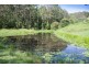 998 Nowendoc Road, Wingham NSW 2429