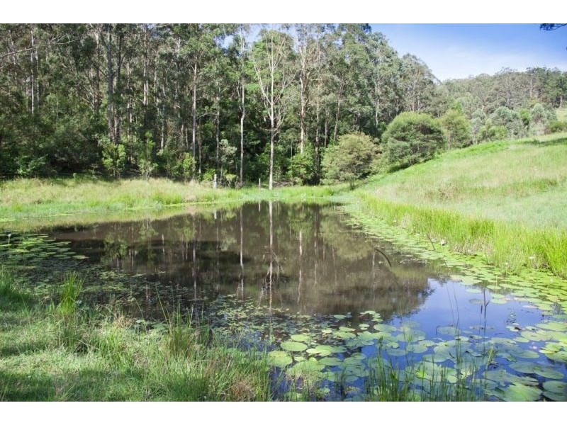 998 Nowendoc Road, Wingham NSW 2429