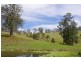 998 Nowendoc Road, Wingham NSW 2429