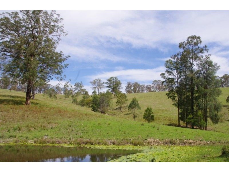 998 Nowendoc Road, Wingham NSW 2429