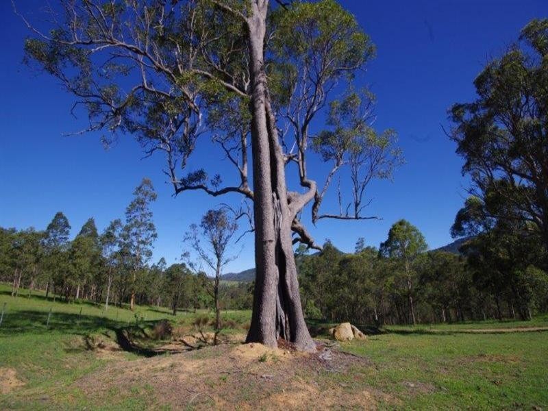 994 Nowendoc Road, Mount George NSW 2424