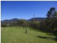 994 Nowendoc Road, Mount George NSW 2424