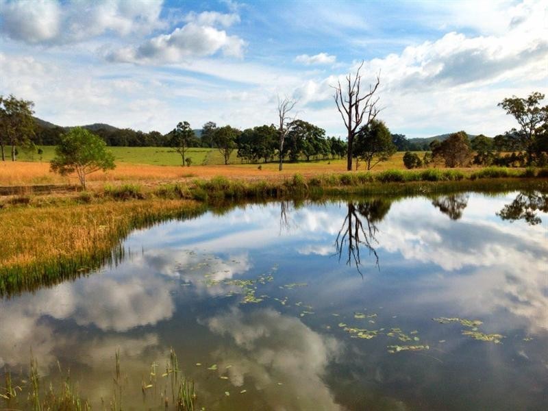 114 Tritton Road, Possum Brush NSW 2430