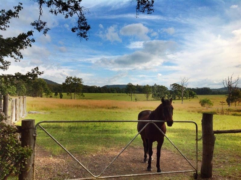 114 Tritton Road, Possum Brush NSW 2430