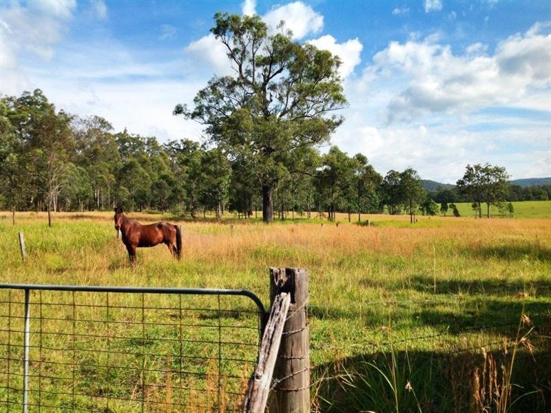114 Tritton Road, Possum Brush NSW 2430