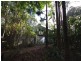 114 Tritton Road, Possum Brush NSW 2430