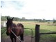 114 Tritton Road, Possum Brush NSW 2430