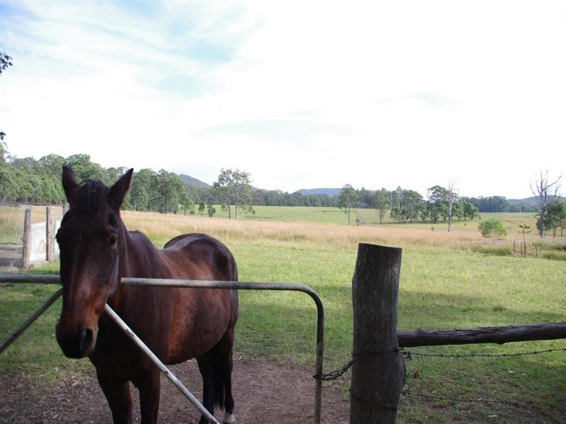 114 Tritton Road, Possum Brush NSW 2430