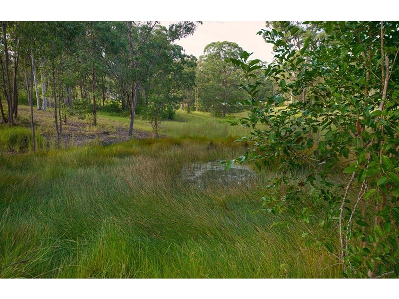 Lot 103 Bull Hill Road, Tinonee NSW 2430
