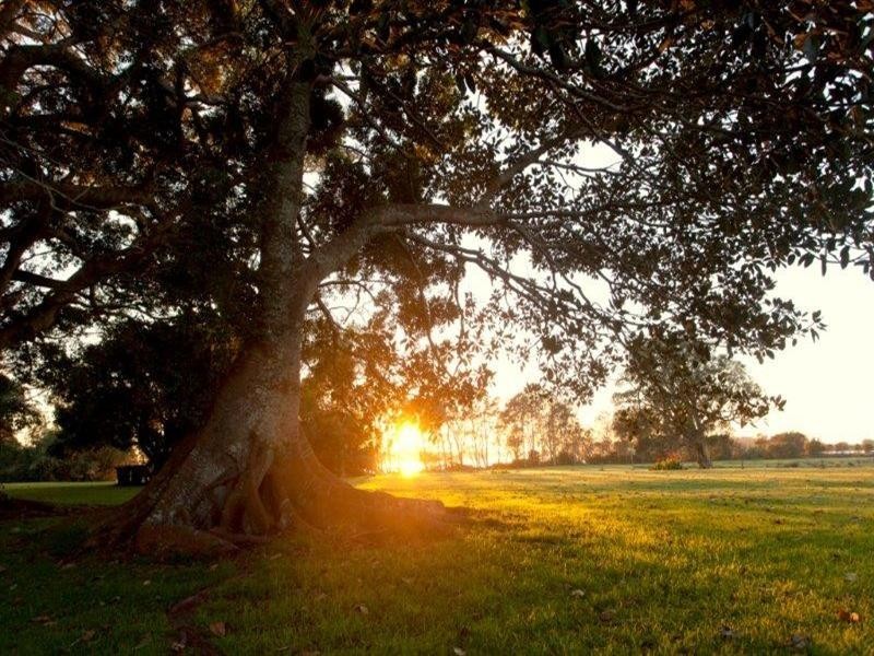 Lots 128 – 132 Cabbage Tree Island, Old Bar NSW 2430