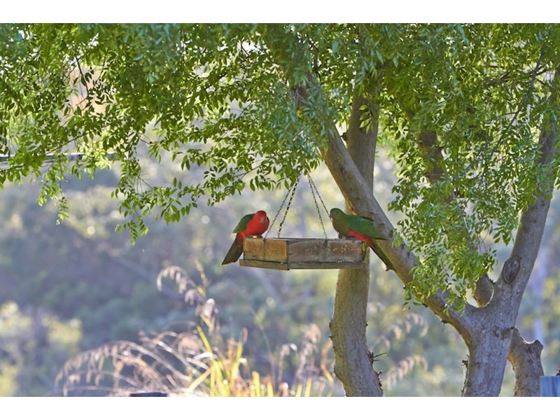 5663 The Bucketts Way, Wingham NSW 2429