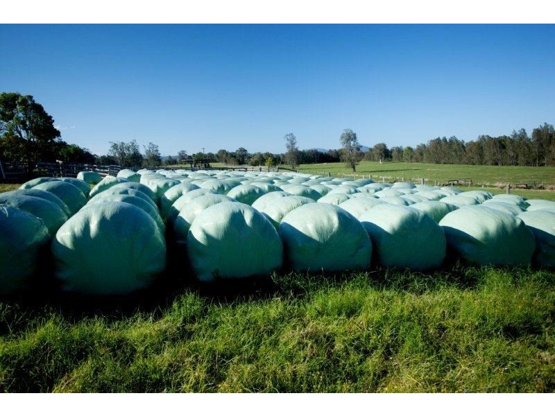 494, 496 and 514 Kundle Kundle Road, Kundle Kundle NSW 2430