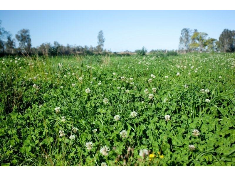 494, 496 and 514 Kundle Kundle Road, Kundle Kundle NSW 2430