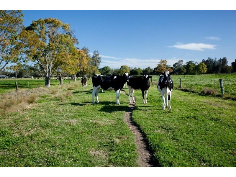 494, 496 and 514 Kundle Kundle Road, Kundle Kundle NSW 2430