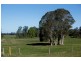 494, 496 and 514 Kundle Kundle Road, Kundle Kundle NSW 2430