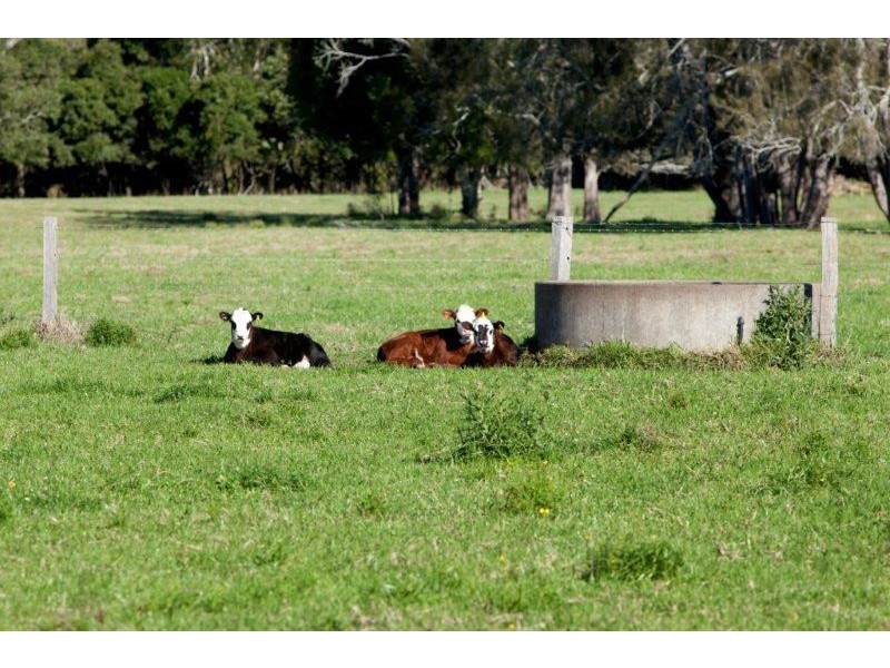 494, 496 and 514 Kundle Kundle Road, Kundle Kundle NSW 2430