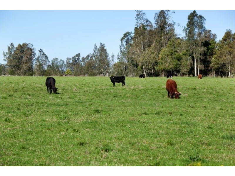 494, 496 and 514 Kundle Kundle Road, Kundle Kundle NSW 2430