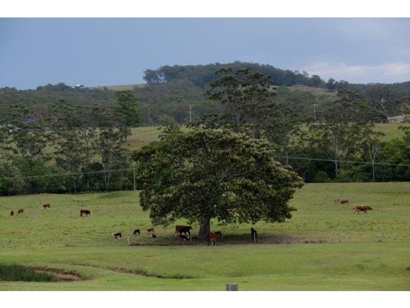 618 Half Chain Road, Koorainghat NSW 2430